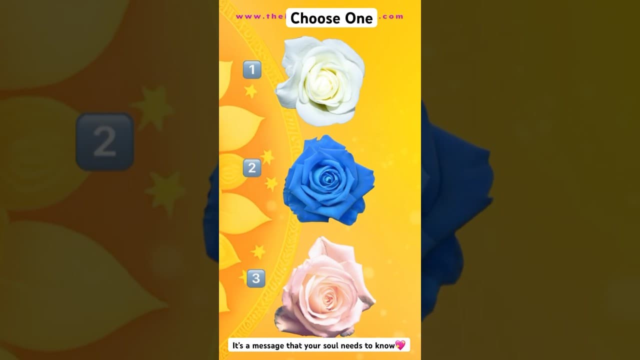 Which Rose is Calling You Today? A Message Your Soul Needs Now